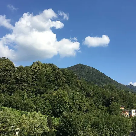 Cavaria 2*